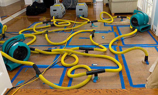 Professional Crawl Space Water Removal technician working in Pleasant Hill, OH